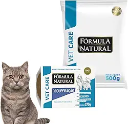Ração Fórmula Natural Vet Care Tratamento Renal 500g + Patê Úmido Recuperação Para Gatos 270g