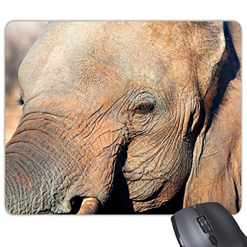 Tapis de souris antidérapant beatChong éléphant pour éviter les glissements de bureau