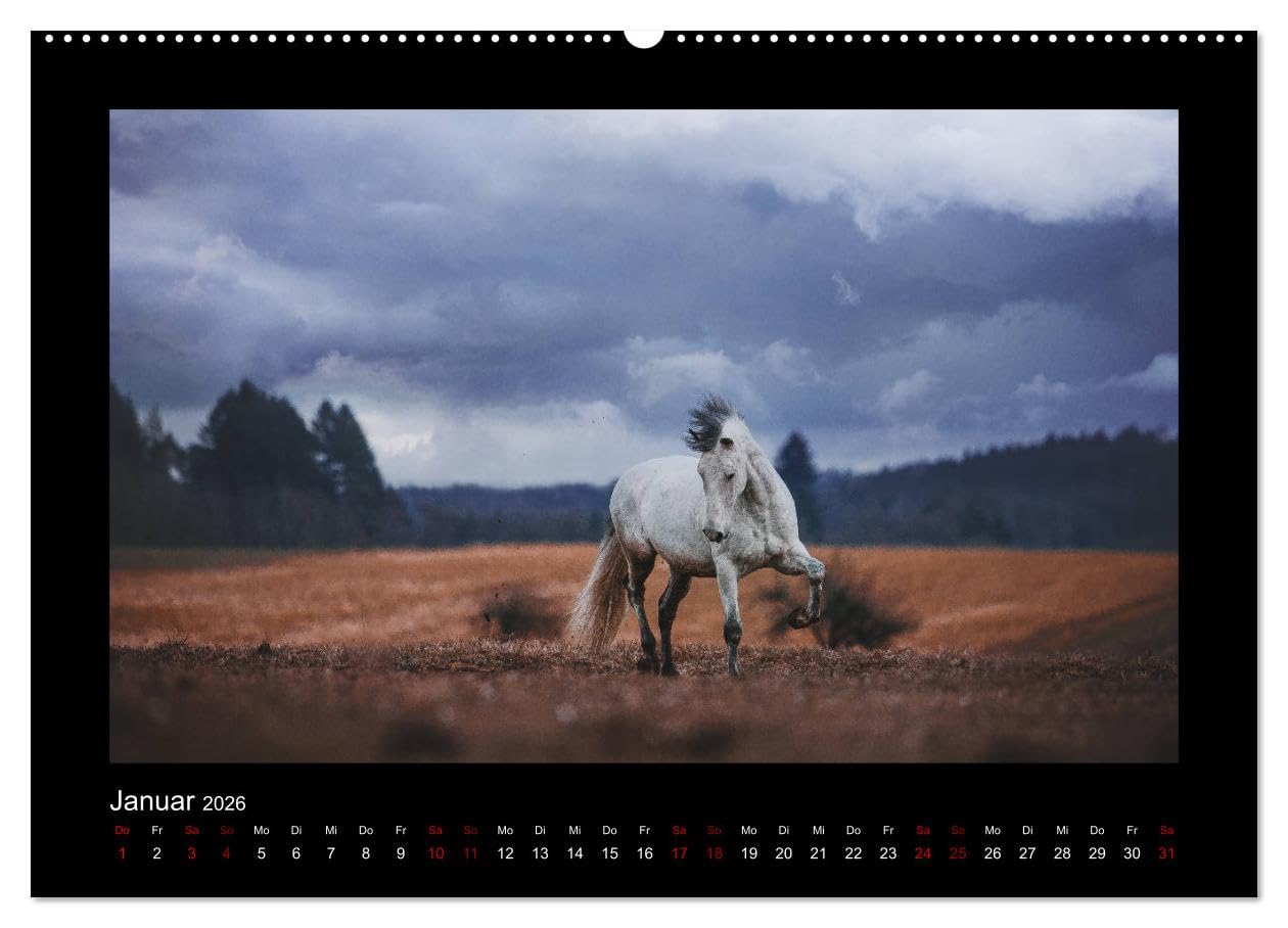 Die Faszinierende Welt der Pferde (Wandkalender 2026 DIN A2 quer), CALVENDO Monatskalender: Lassen Sie sich entführen in die Faszinierende Welt der Pferde (CALVENDO Tiere)