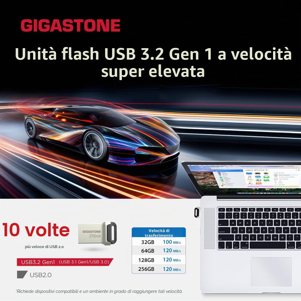 Gigastone 256 GB Chiavetta USB 3.1, Z90 Serie, Velocità e prestazioni affidabili, Ideali per PC Computer Mac, Compatibile con interfaccia USB 2.0/3.0/3.1, Impermeabile in metallo, Mini e robusto