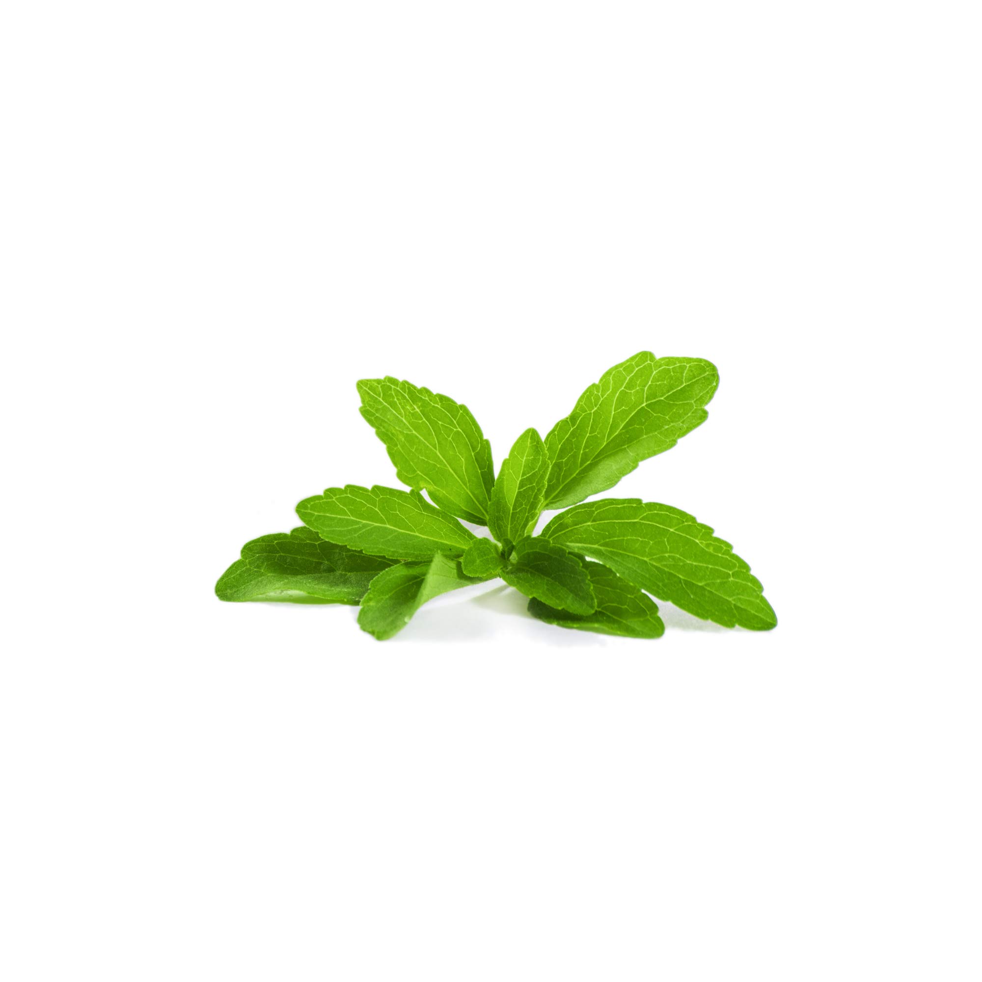 Mélatonine Sublinguale (Arôme cerise) * 1,8 mg (pour 2 comprimés) = 480 doses journalière * Pureté garantie supérieure à 99% * Sommeil * Régulateur de l’horloge biologique