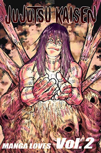 Graphic Novel Action For Manga Lovers: Jujutsu Kaisen Manga volume 2 (English Edition)