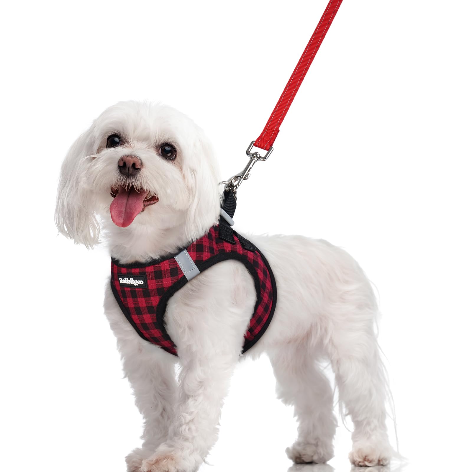 rabbitgoo Dog Harness Small Dog and Leash Set, Step-in Soft Mesh Puppy Harness with Reflective Strips, Lightweight Breathable Pet Vest for Walking Training, Red Plaid, M