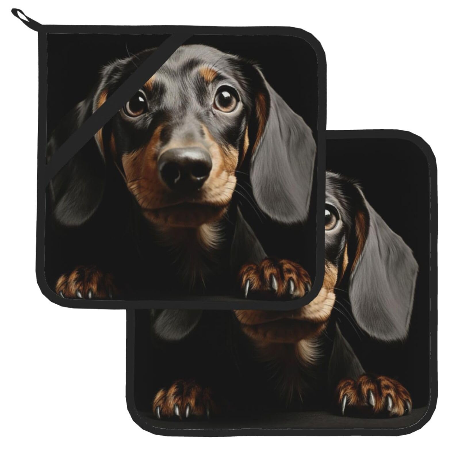 Pot Holder Set of 2 Heat Resistant Kitchen Potholders Dachshund Pot Holders Kitchen Trivets with Hanging Loops Washable Oven Hot Pads for Cooking Baking BBQ