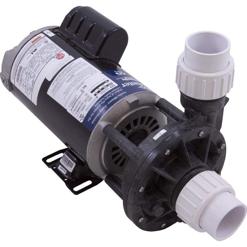 Amazon.com : GECKO Aqua-Flo Flo-Master HP 1-1-2 HP 230V Dual Speed 