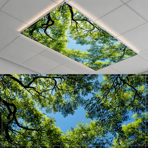 Housse lumière fluorescente magnétique 4 x 2 pieds