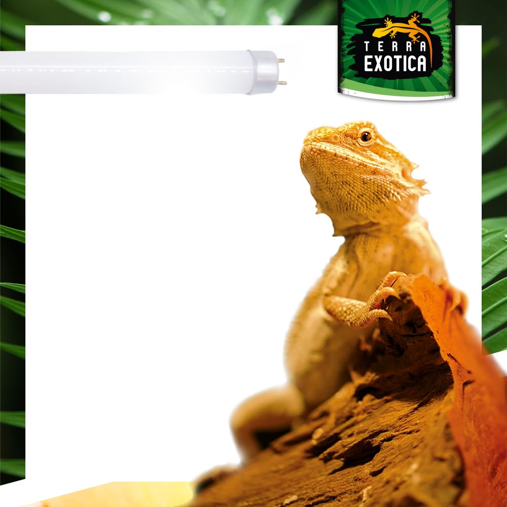 Terra Exotica Sunray Desert UV 10.0 - Leuchtstoffröhre mit hoher UV-B Abstrahlung - Ideal für tagaktive Reptilien der Wüsten- und Savannengebiete (30, Watt)