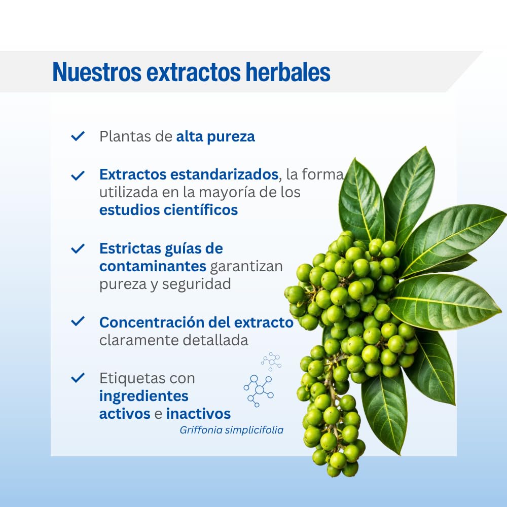 Lamberts Digestizyme® | 100 Cápsulas | Apto para Veganos | Enzimas Digestivas Origen Vegetal | Lipasa, Amilasa, Proteasa, Bromelina y Papaína | Amplio Espectro | Calidad Farmacéutica GMP