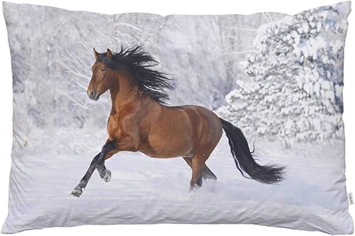 EKOBLA Funda de almohada marrón, caballo corriendo, caballo fresco, nieve, diseño moderno, decoración de la naturaleza de invierno, funda de