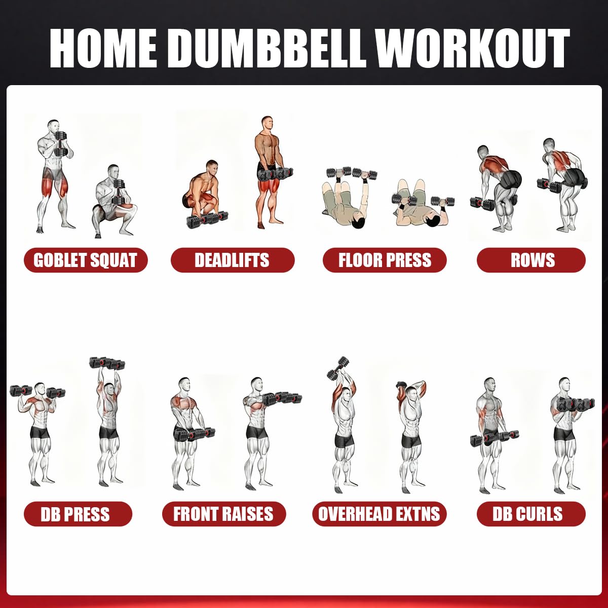 25lb Adjustable Dumbbell Set, Quick Dial with Non Slip Handle, Stand | Adjustable, 1 Second Weight Change, Double Safety Buckles, Space Saving, Full Body Workout, Home Gym