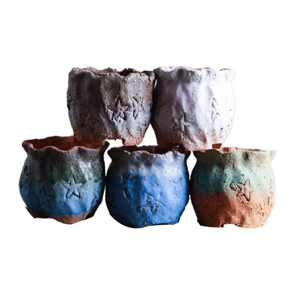 Pentole Pianta 5 Pz Flower Pot Macetas Vaso Maceta Planter Macetero Creativo Retro Flower Pot Terraglia Vaso da Fiori for Il Giardino per Tutte Le Piante da casa, i Fiori, Le Erbe
