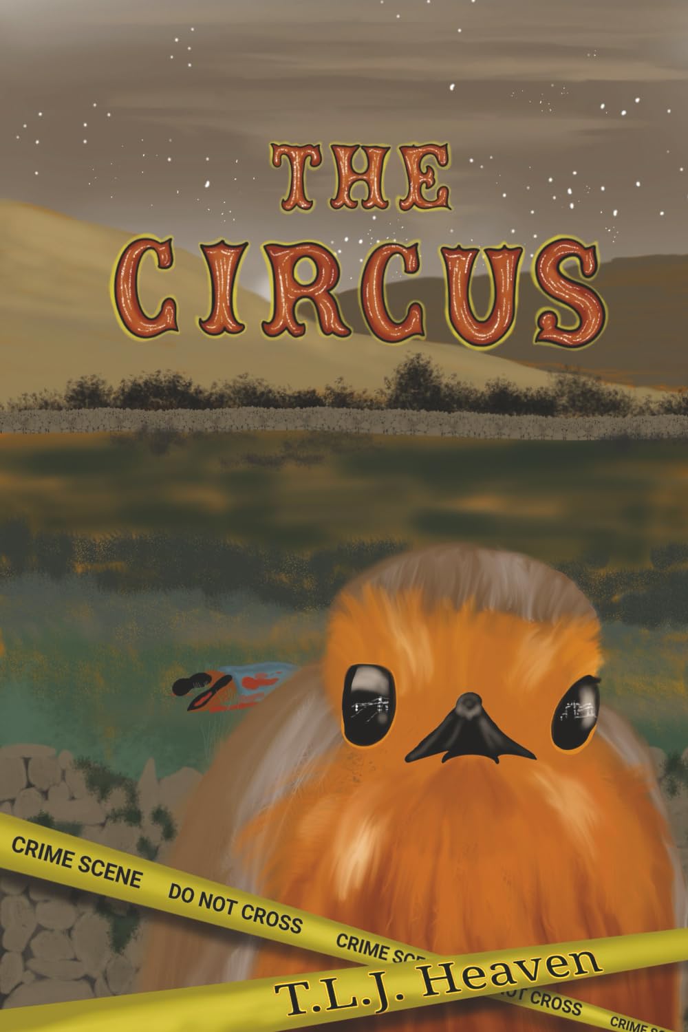 The Circus
