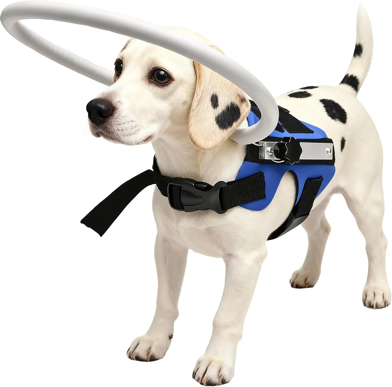 GabeFish Lightweight Adjustable Blind Ring for Dogs Cats, Pet Harness Guide Device Blue Medium Medium: Weight: 24.2-39.6 lbs (11-18kg) Blue