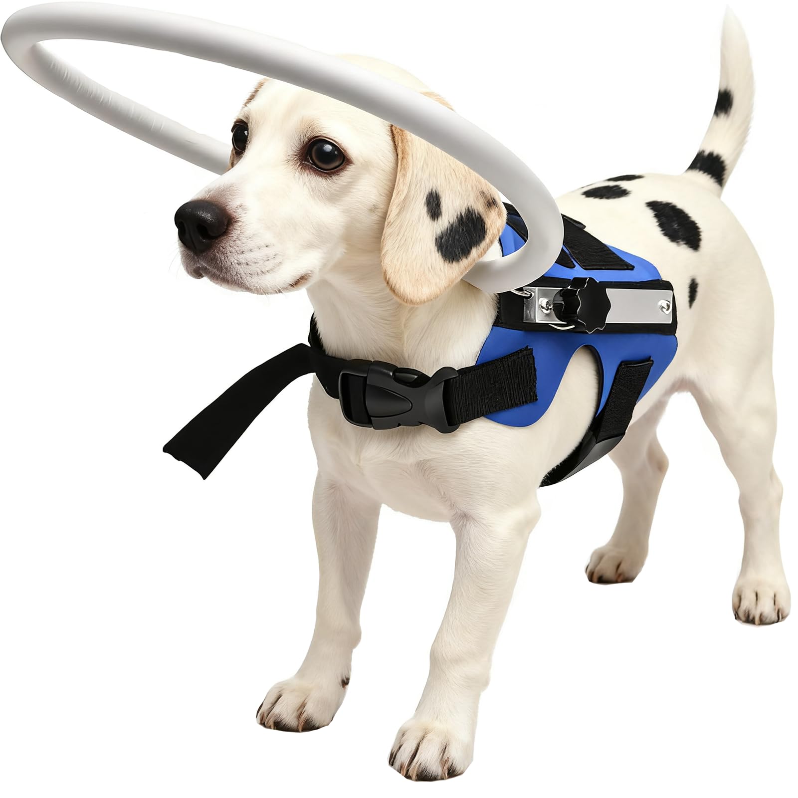 GabeFish Lightweight Adjustable Blind Ring for Dogs Cats, Pet Harness Guide Device Blue Small