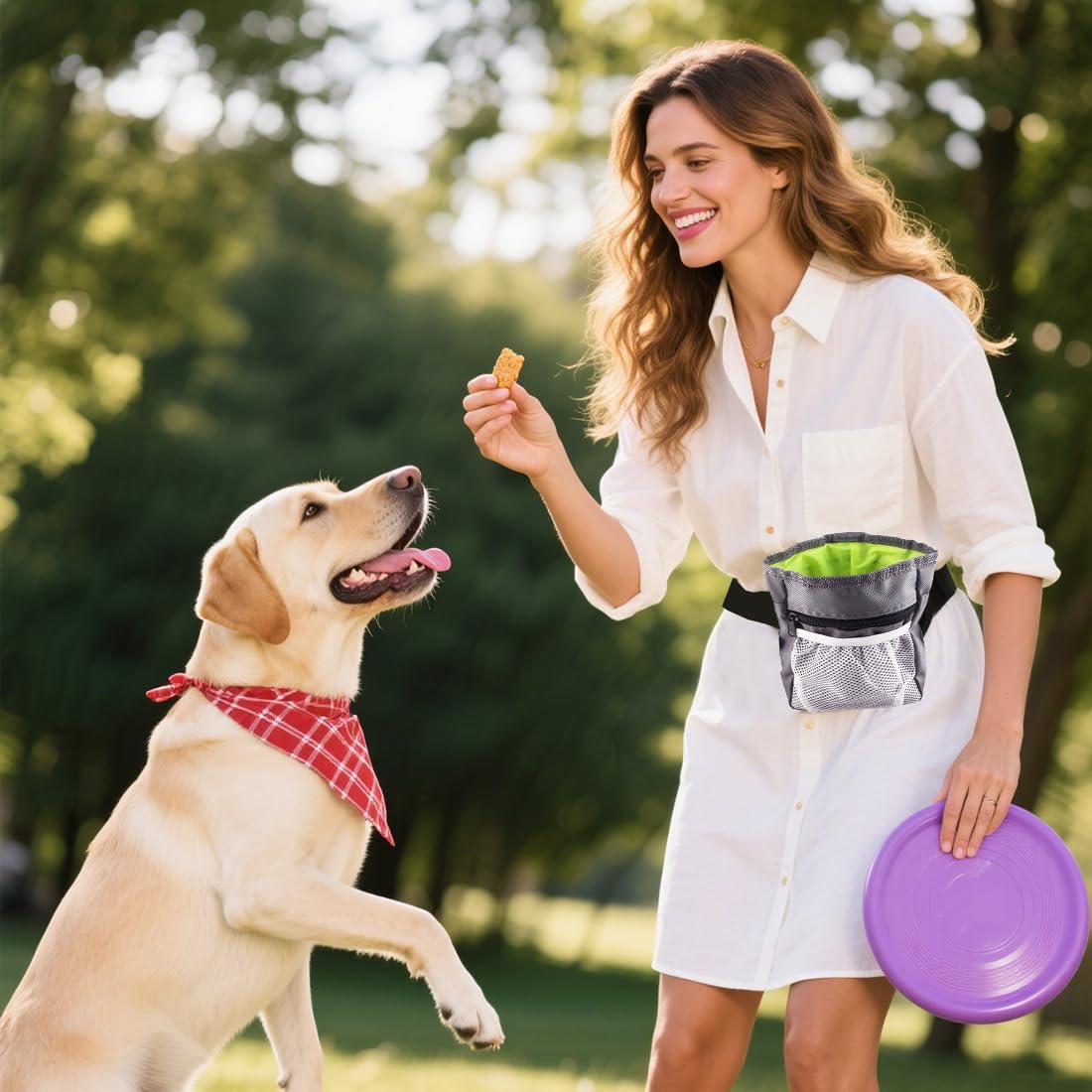 Borsa Premietti Multifunzione per Cane, Borsa in Nylon Oxford con 3 Modi d'Uso (Anca, Cintura, a Tracolla), Facile da Pulire, Grigio, 18x14x6cm, con Tasca per Sacchetti della Cacca