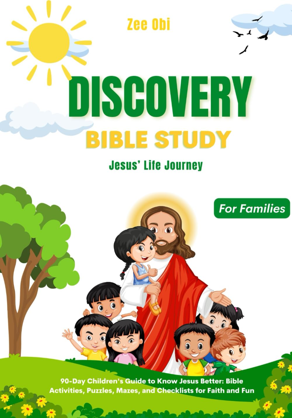 Discovery Bible Study Guide: Exploring Jesus' Life Journey