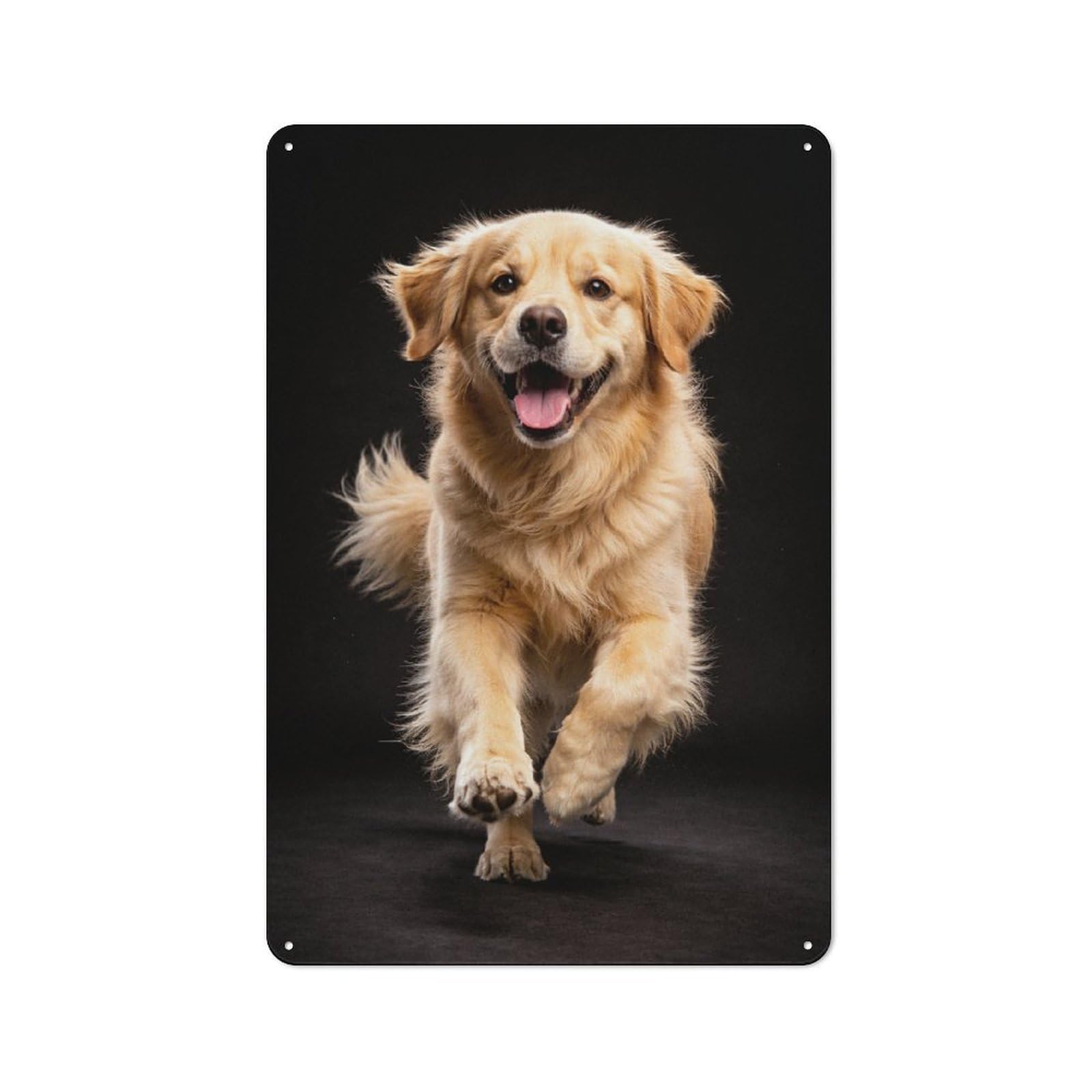 Junmoney Style-19 Happy Golden Retriever Running Tin Sign 30X20cm For Workshop Wall, Vintage Wall Decor, For Metal Sign Collectors, For Garage And Workshop Walls