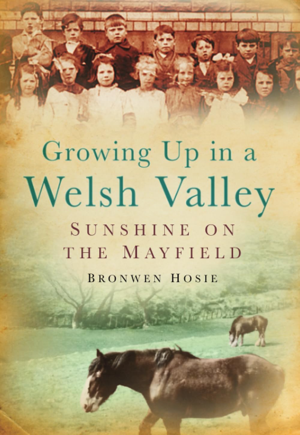 Growing Up in a Welsh Valley