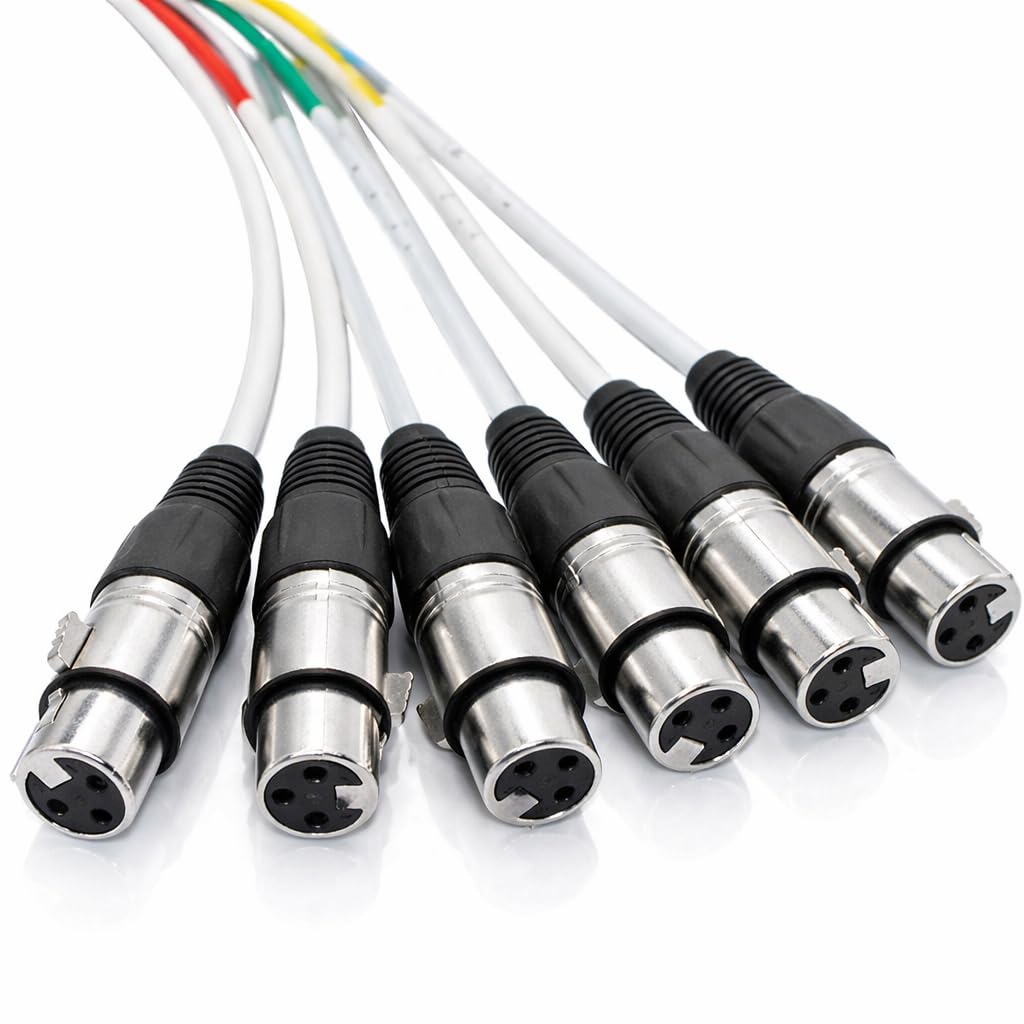 Seismic Audio SARLX-6x10 6-Channel XLR Snake Cable, 10 Foot, Shielded 22 AWG Copper, XLR Female to Male, Numbered & Color Coded