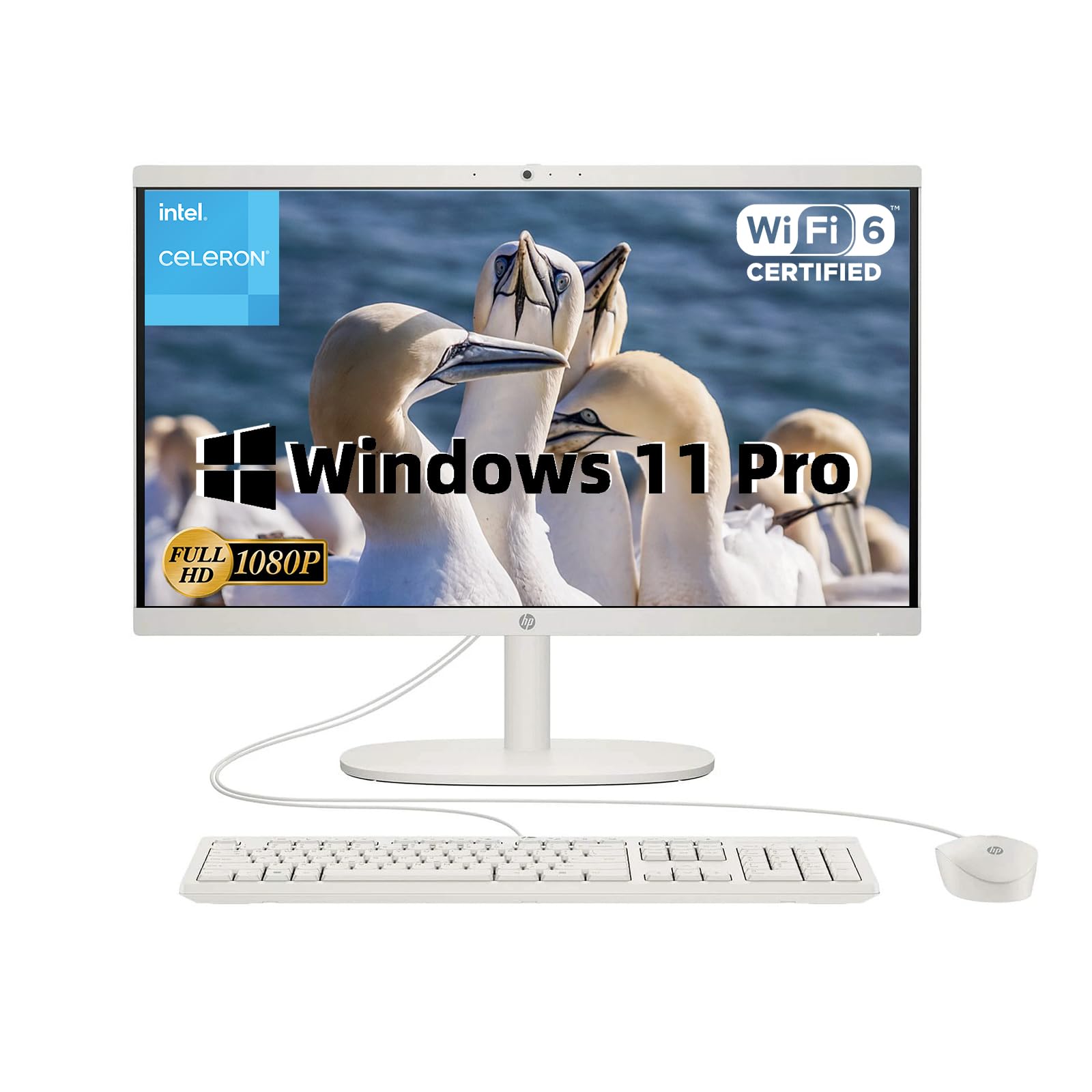 HP 21.5" All-in-One Desktop, FHD VA Display, Intel Celeron J4025, Intel UHD Graphics 600, True Vision Camera, Wi-Fi 6, Win 11 Pro, 8 GB RAM, 512 GB SSD