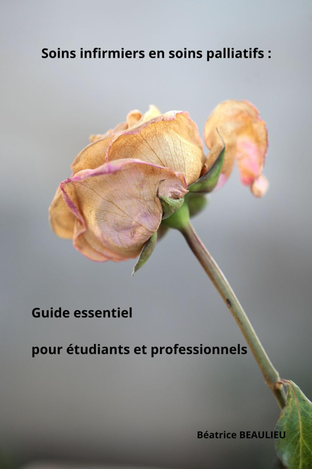 Soins infirmiers en soins palliatifs : Guide essentiel pour étudiants et professionnels