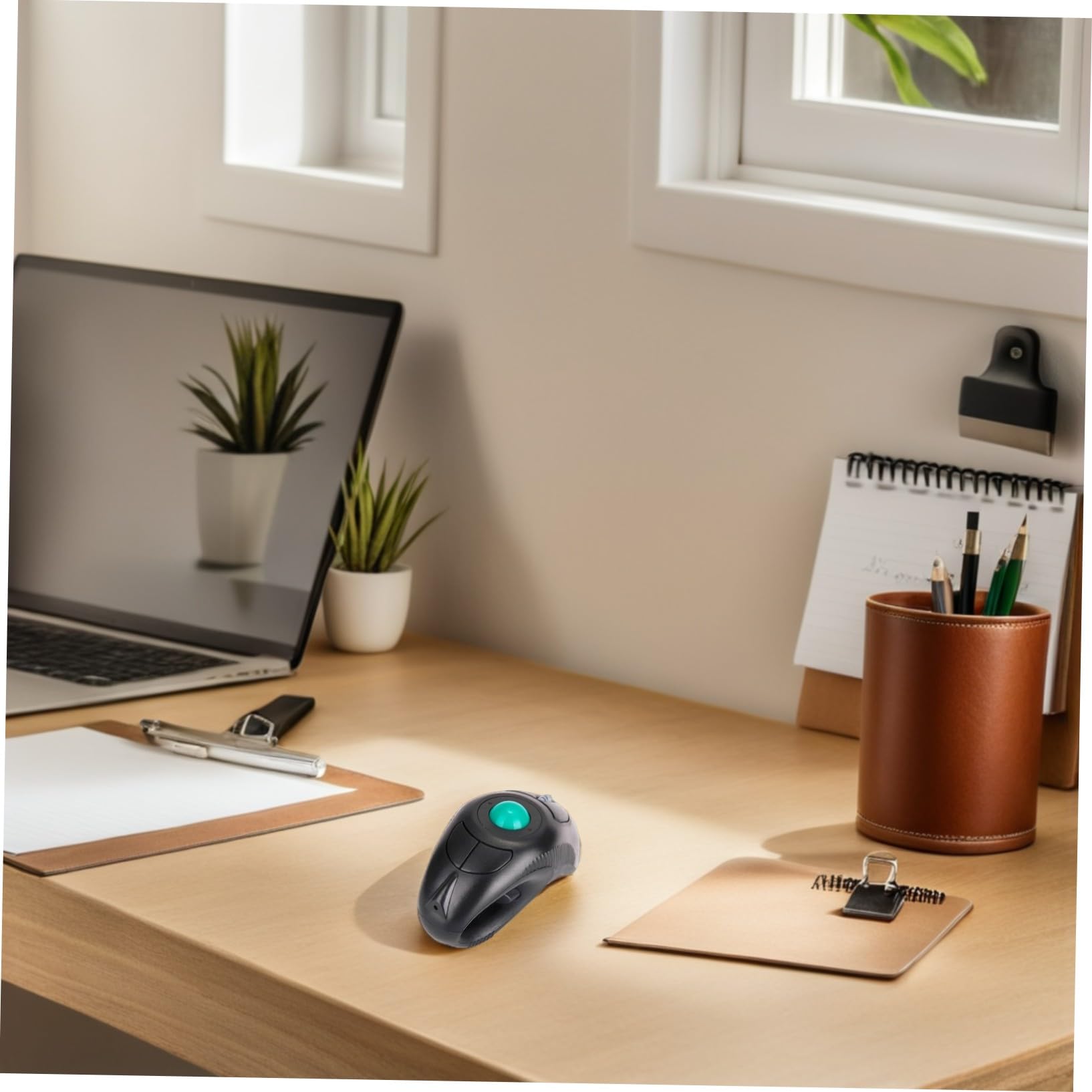 Souris Trackball Ergonomique sans Fil Port USB, Forme Dauphin en Plastique, 5 Boutons, 1000 Dpi, Compatible Laptop pour Gauchers et Droitiers