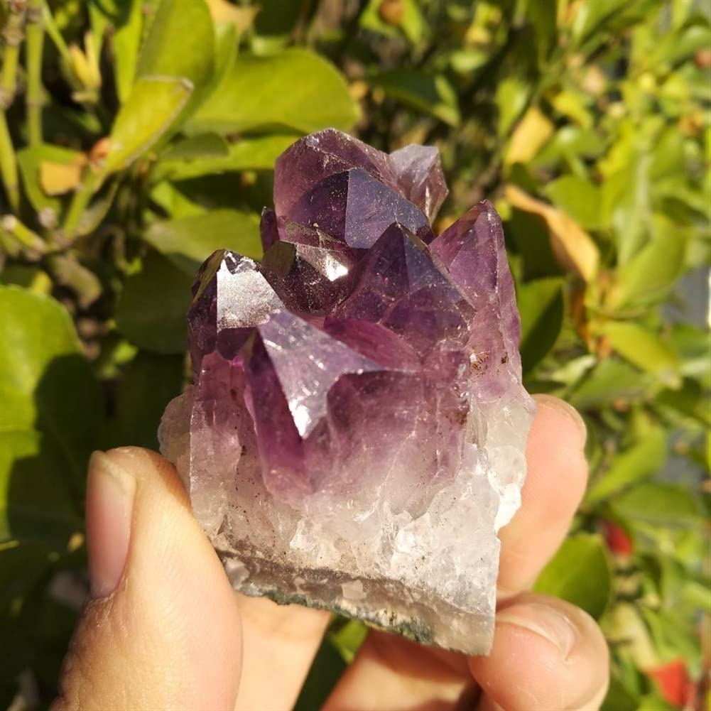 Elección de Regalos Amatista Natural Geoda Cristal Cuarzo Amatista Racimo Espécimen Piedra de vibración Inicio Colecciones