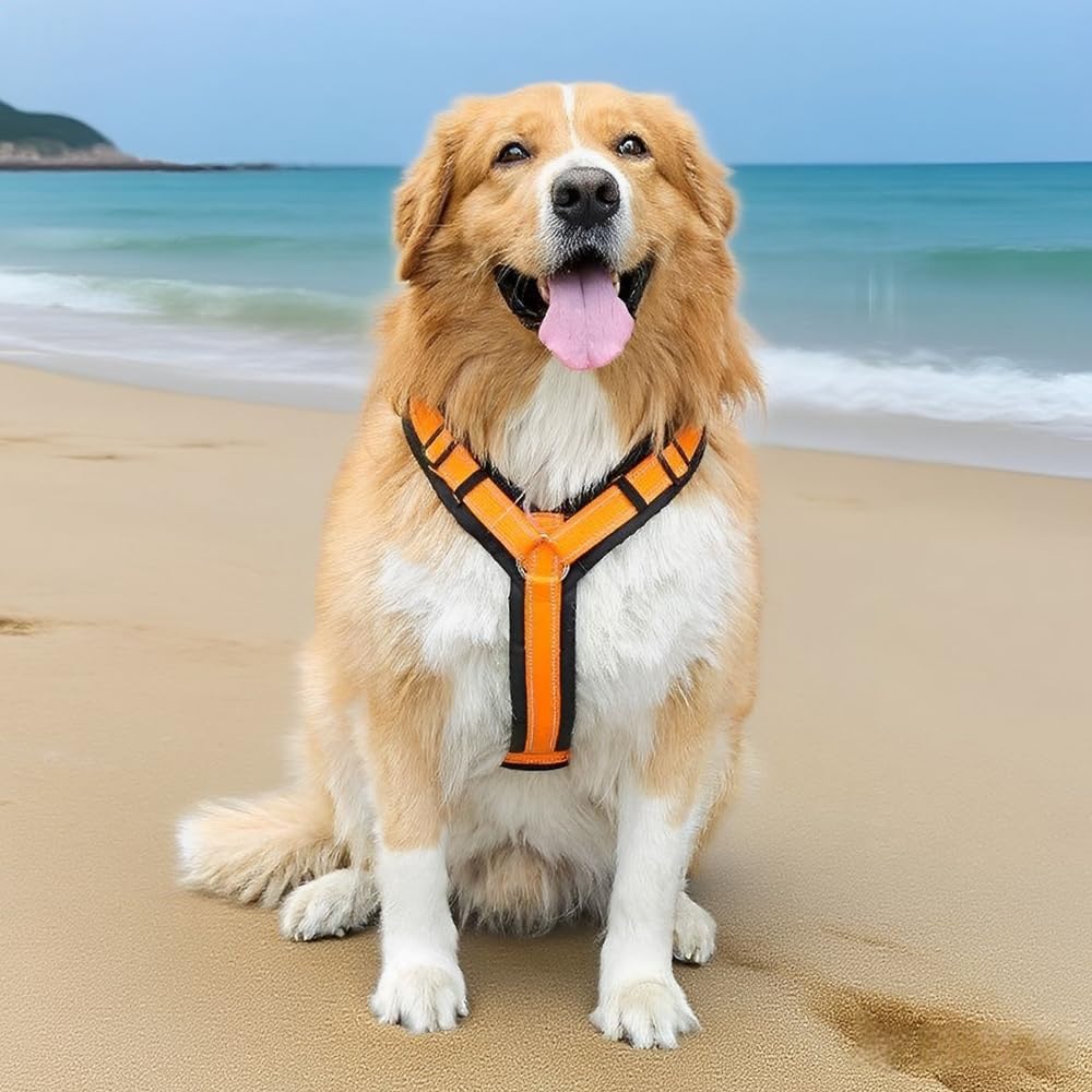 Large Dog Harness Reflective Orange Adjustable Comfortable Dog Accessories for Daily Walks (M) 7