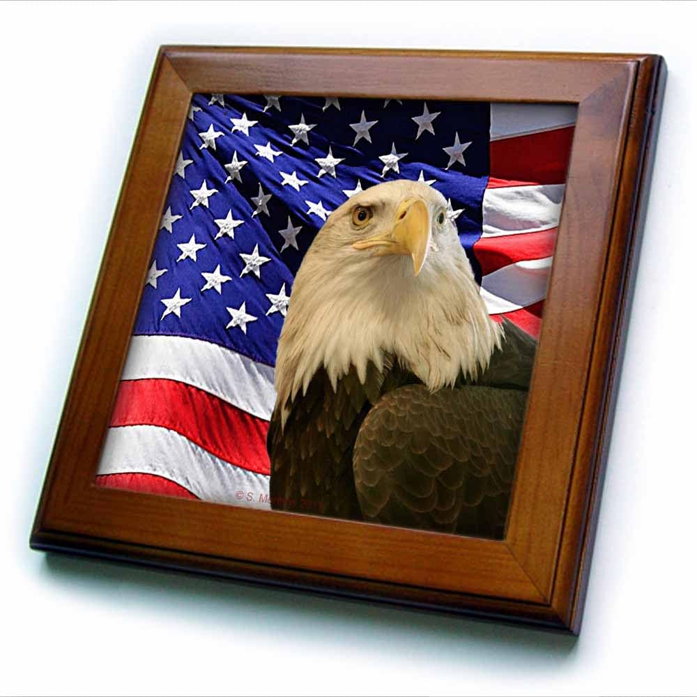 3dRose ft_21650_1 Bald Eagle and American Flag Framed Tile, 8 by 8-Inch