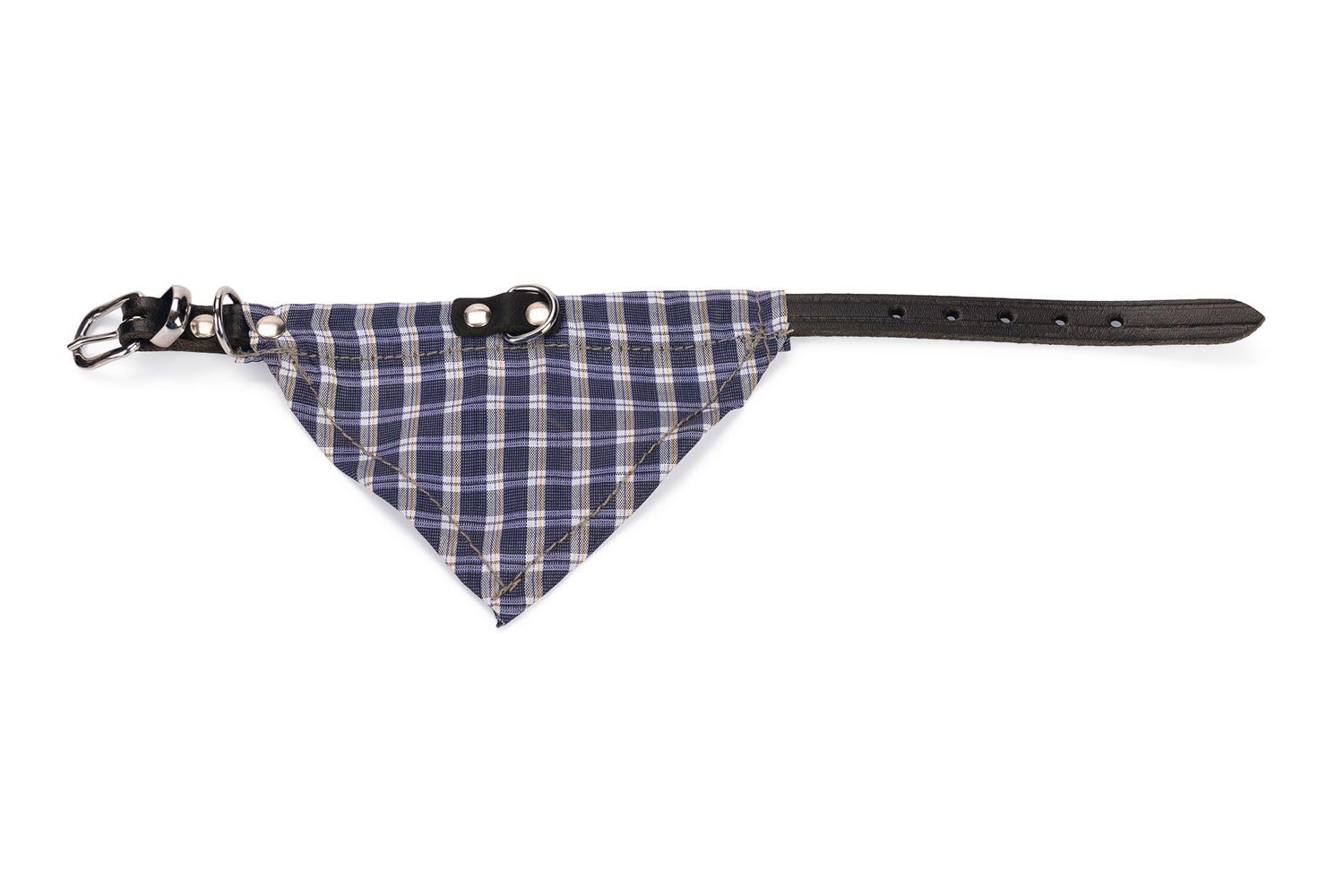 Karlie Deri Bandanalı Köpek Boyun Tasması, 32 cm, Mavi