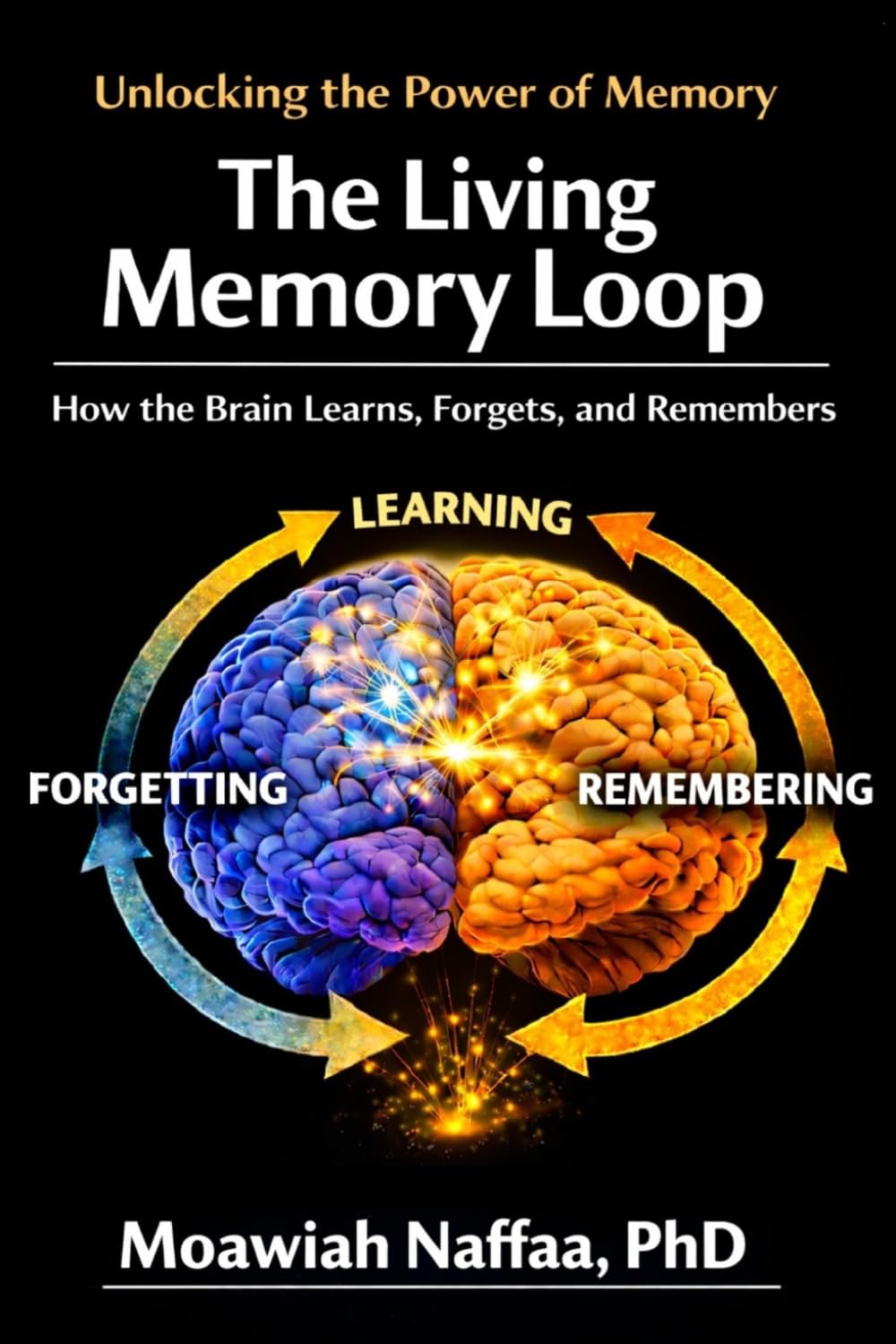The Living Memory Loop: How the Brain Learns, Forgets, and Remembers