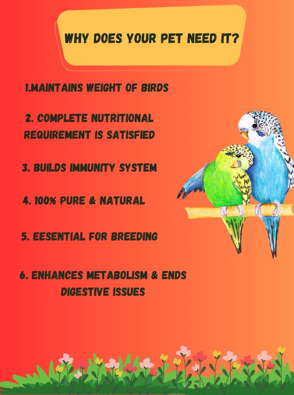 ONELINK MALL Bird Food for Budgies - | Natural & Healthy Premium Mix Seeds, | Daily Bird Budgies Food Seeds| All Life Stages (450 Gm (Pack of 2)) 1