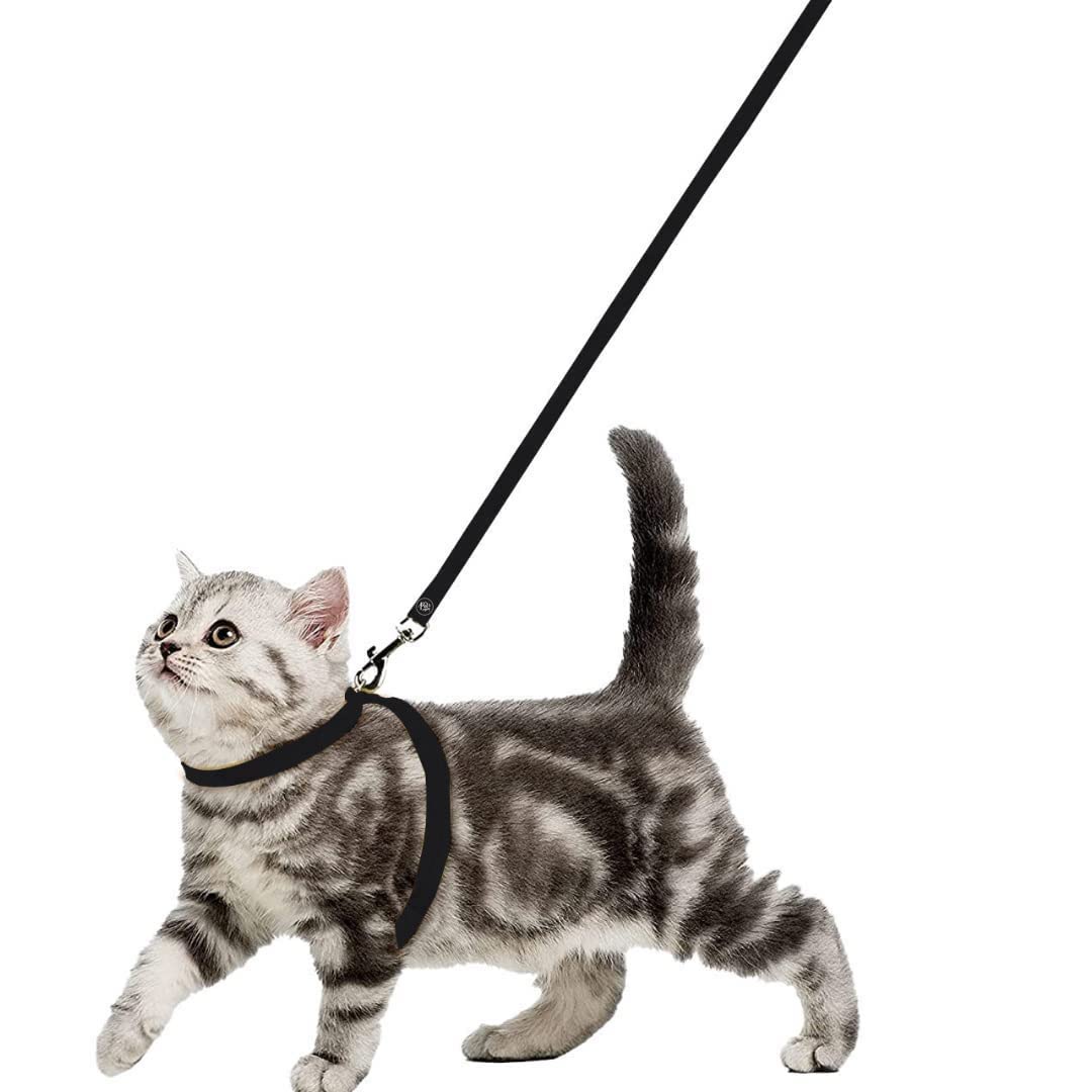 DOSAN Basic Full Body Cat Harness with Leash Set for Walking | Escape Proof | Adjustable & Durable for Cats (Black) (B0CKRT4C1G) Amazon Price History, Amazon Price Tracker
