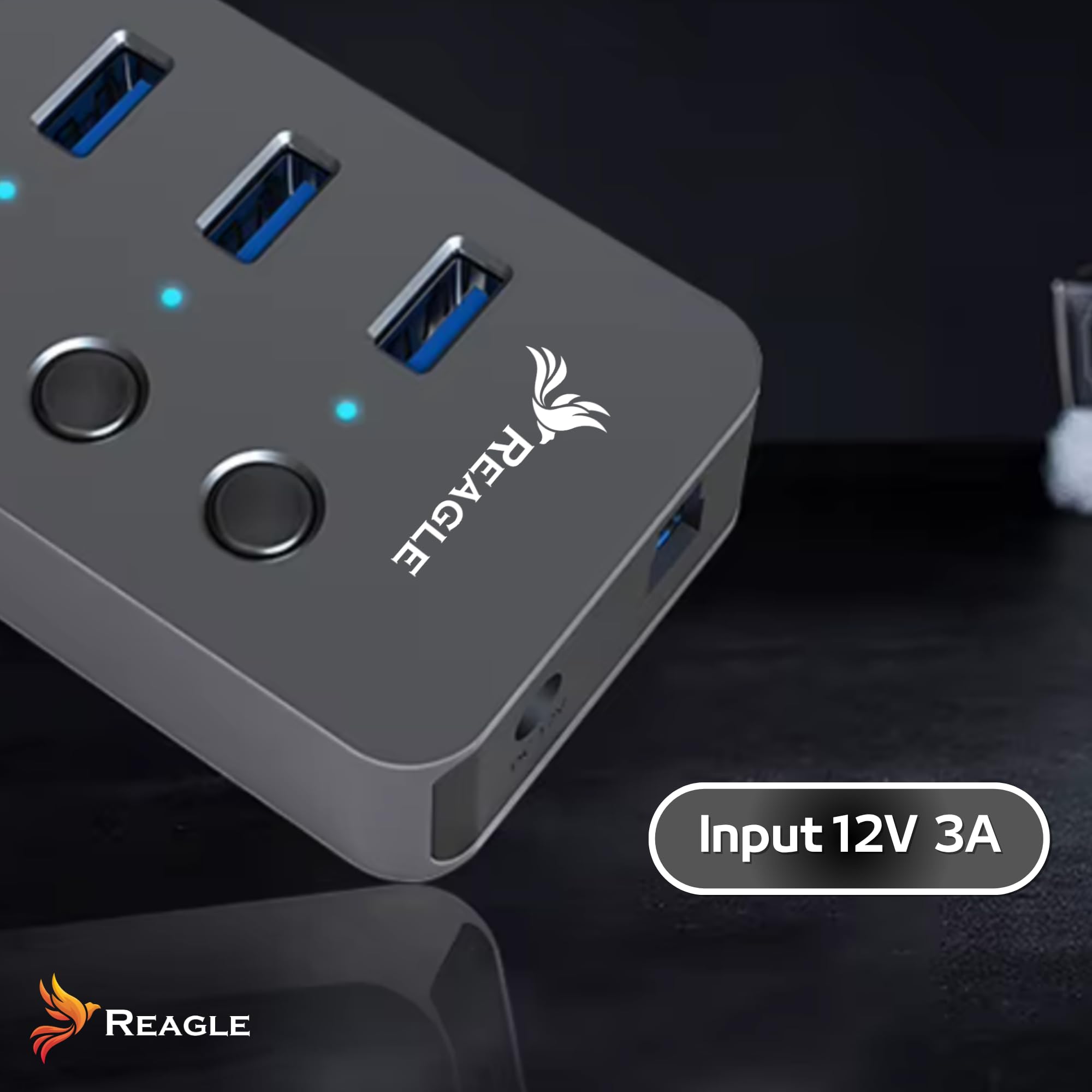 Reagle HUB 10IN1 USB 3.2 Gen 1 Hub mit 10 Ports 10 Daten, 5 Gbps Datenübertragung, 36W Netzteil, Einzelschalter pro Port, Plug & Play, LED-Anzeigen, Aluminiumgehäuse