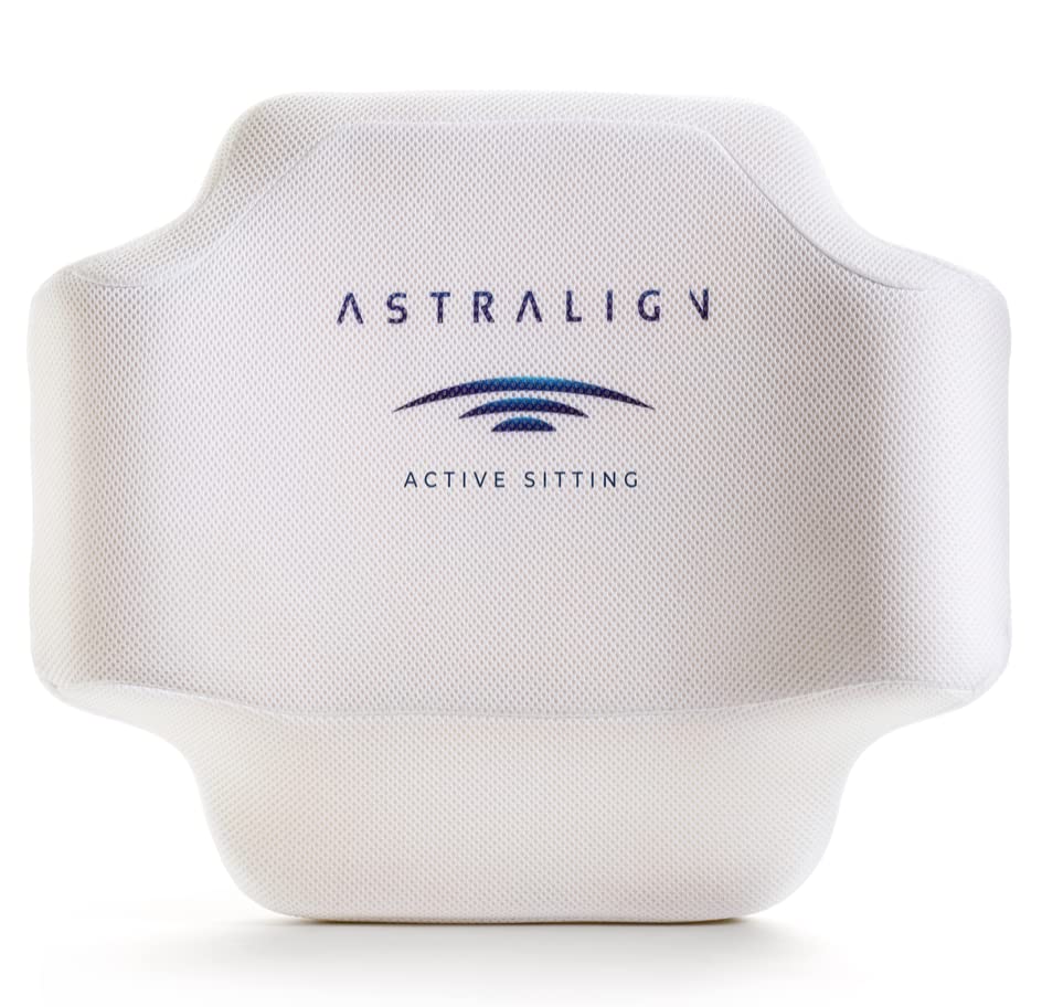 Neo Cushion Lumbar Support Pillow Astralign Office Chair Back