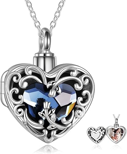 WINNICACA Joyería de cremación para cenizas, medallón de cenizas, collar de urna para mujer, collar de cremación de plata de ley para cenizas,