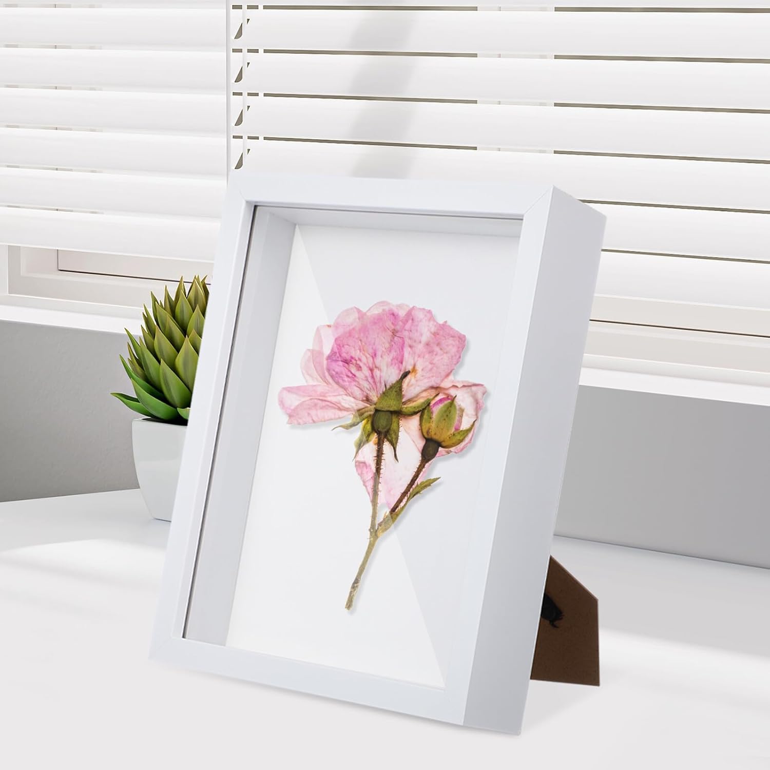 Luxshiny 2 Pcs Small 8x10 Wood Shadow Box Frames for Dried Flower Display and Specimen Pressing, Hollow Photo Display Case for Wedding Memories and Keepsakes