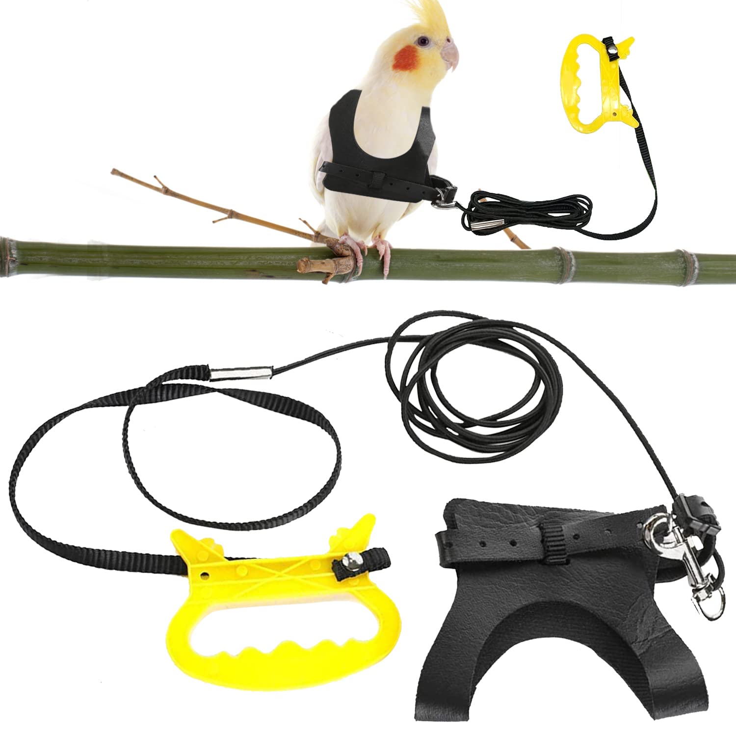 10 Best Finch Bird Harnesses Hummingbirds Plus