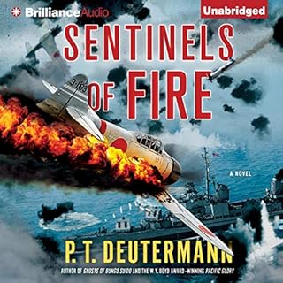 Sentinels of Fire Audiolibro Por P. T. Deutermann arte de portada