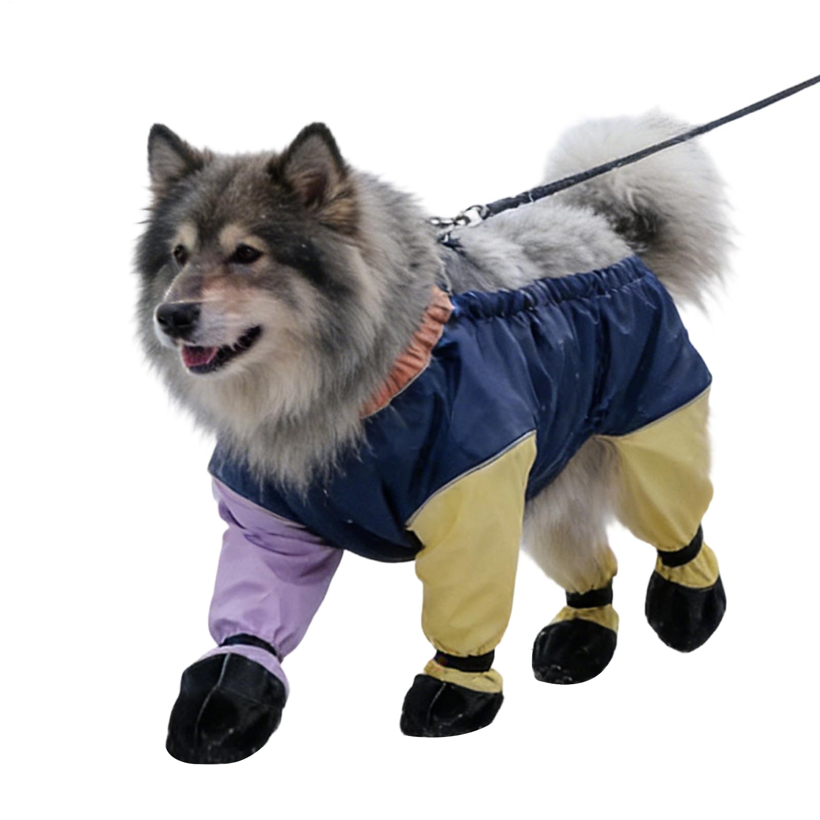 Manteau d'hiver pour chiens respirant contre les coups de froid en voyage et randonnée