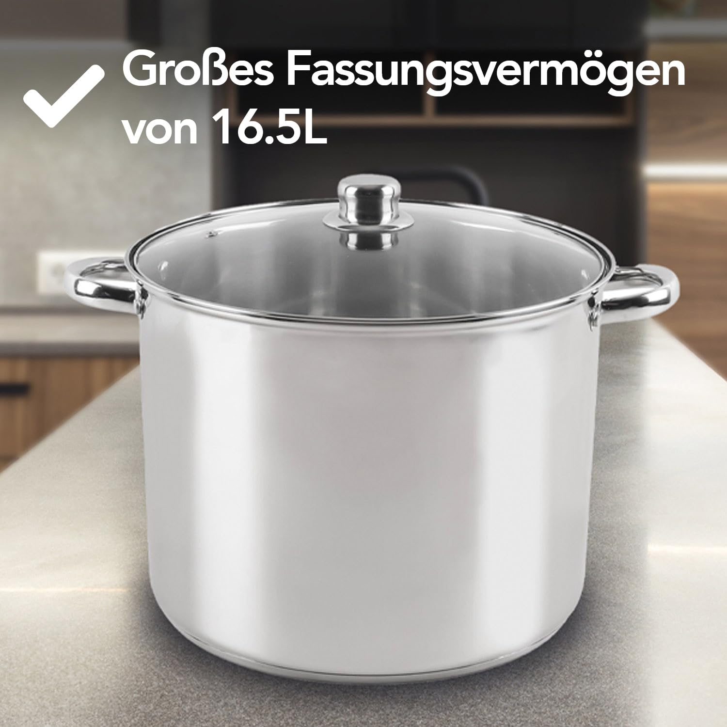 Brixy Suppentopf Kochtopf mit Glasdeckel, 16,5 Liter Fassungsvermögen, 30 cm Durchmesser, Induktionsgeeignet, Edelstahl Silberfarben
