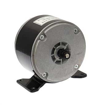 Motor Compatible with Razor Crazy Cart & Crazy Cart DLX 24V, 250W