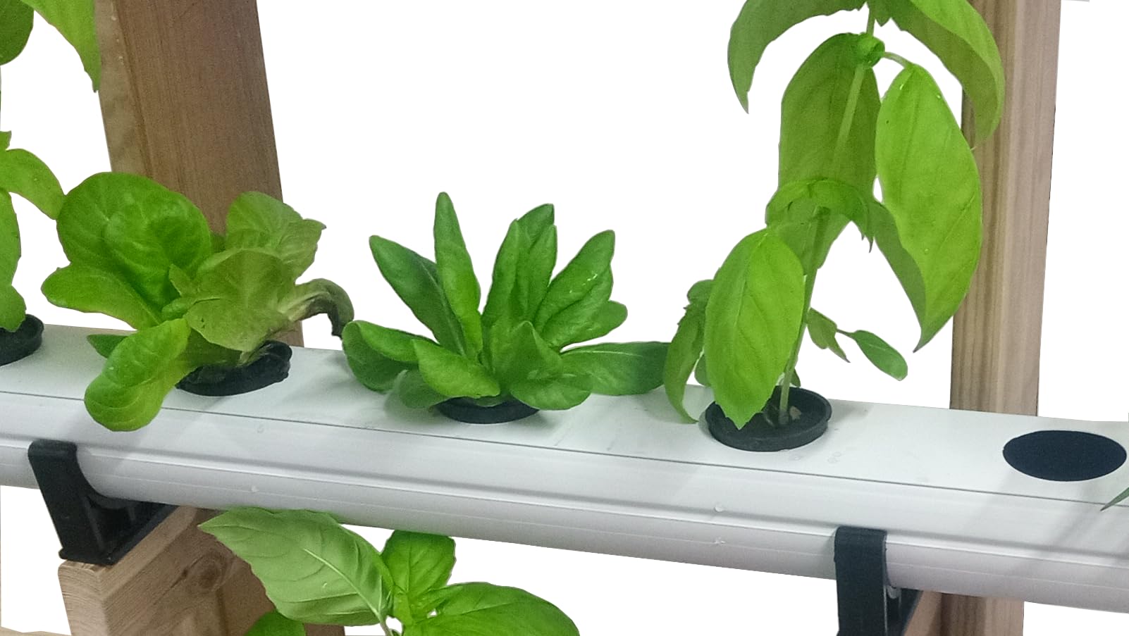 Kit Cultivo hidropónico Vertical de Pared 220V