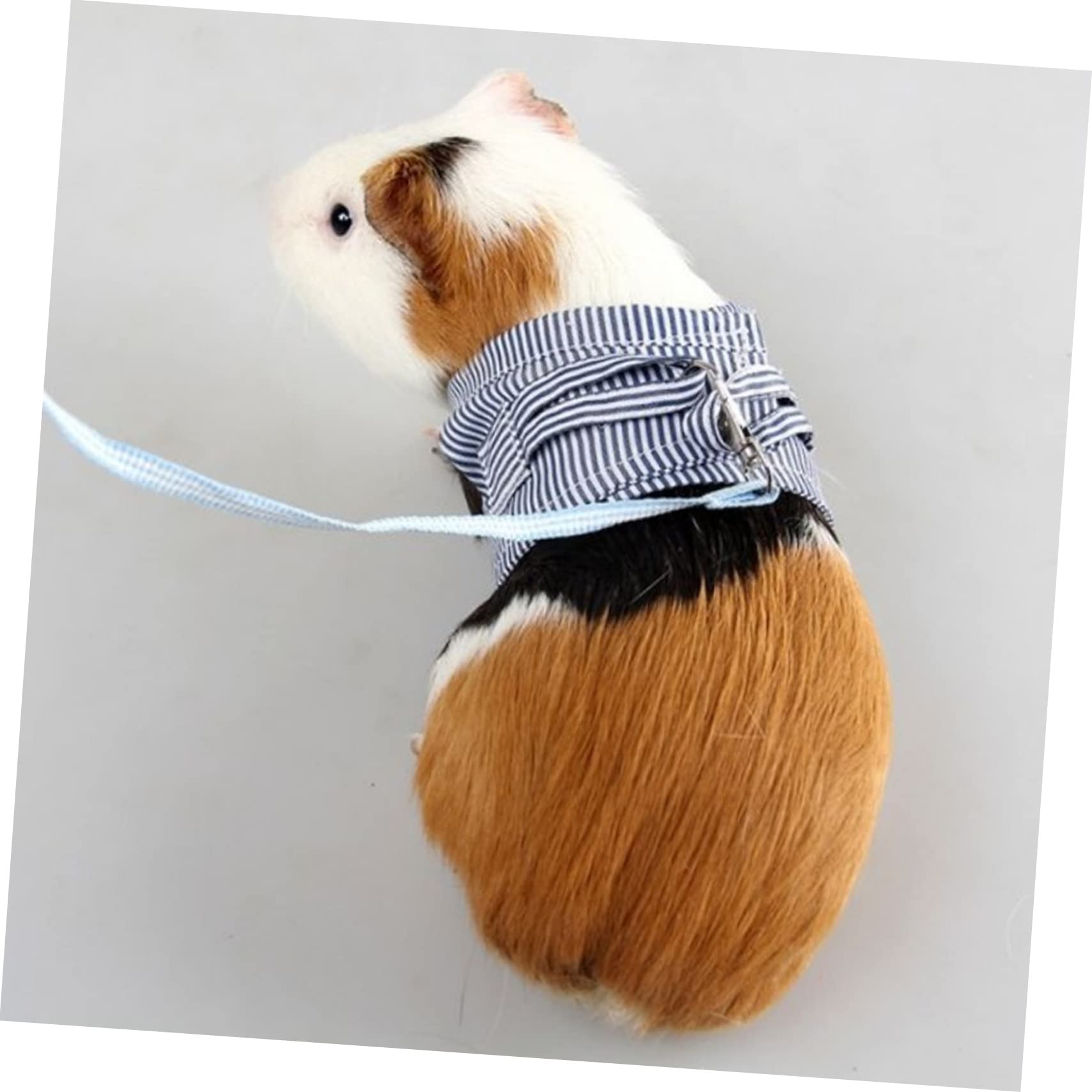 INOOMP 3stücke Kleintier Geschirr Mit Leine Für Meerschweinchen Kaninchen Chinchilla Und Mehr Verstellbares Baumwoll- Blau Für Outdoor-aktivitäten
