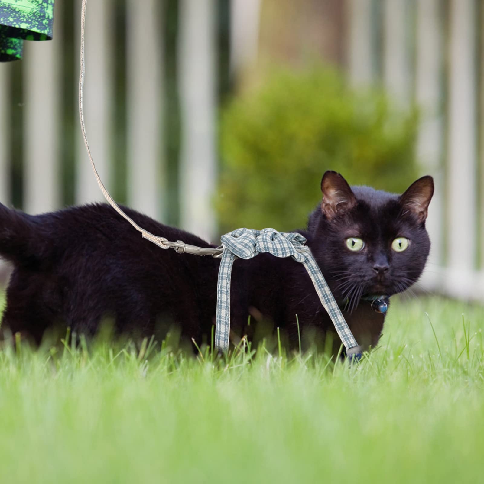 POPETPOP 4sets Pettorina Regolabile Per Gatti Con Guinzaglio Di Traction Leash Per Cani e Gattini Design Comfortevole e Stile Alla Moda Per Passeggiate Sicure