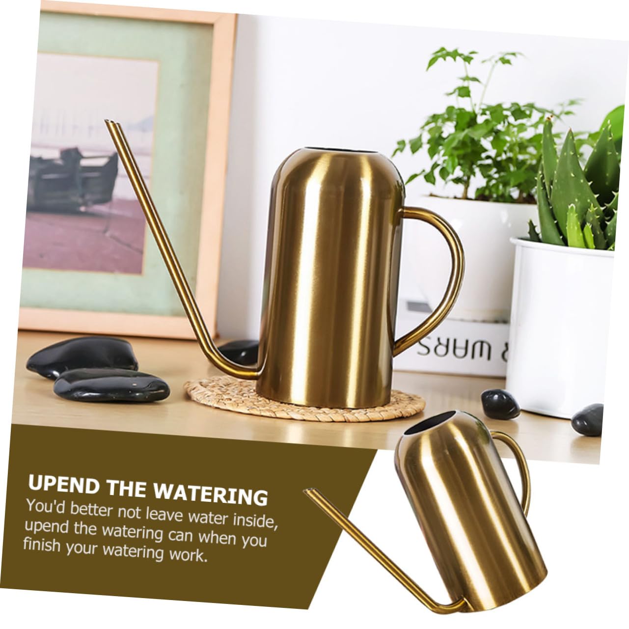 ARTIBETTER Regadera de Acero Inoxidable con Dorado Capacidad para Riego de Suculentas y Plantas de Interior y Exterior Diseño Resistente y Práctico
