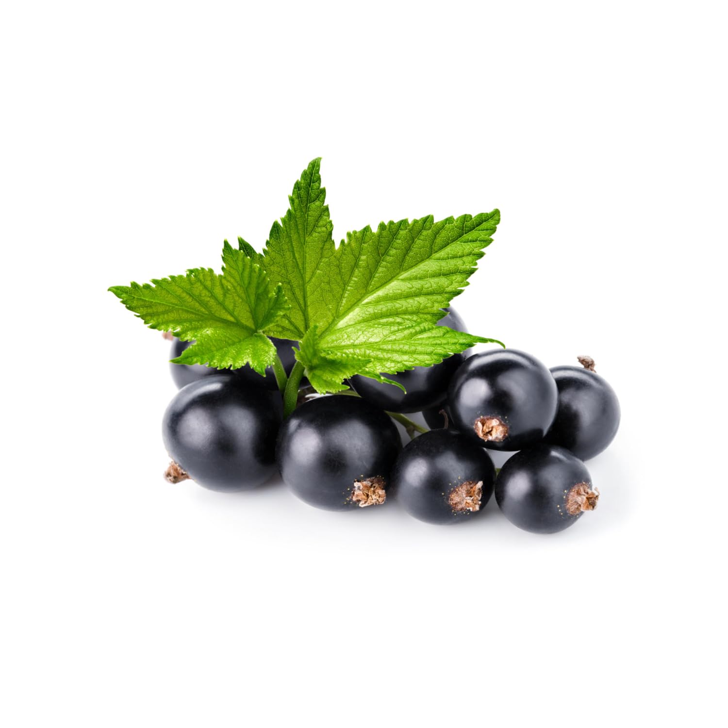 London Fruit® | Asortyment naparów owocowych | 30 jabłek cynamonowych, 30 czarnej porzeczki, 30 przypraw pomarańczowych, 30 cytrynowo-limonkowych – łącznie 120 filtrów (240 gr)