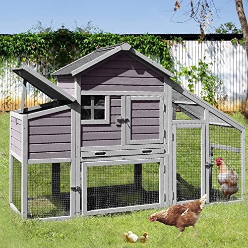 Best Affordable Chicken Coops Under 100