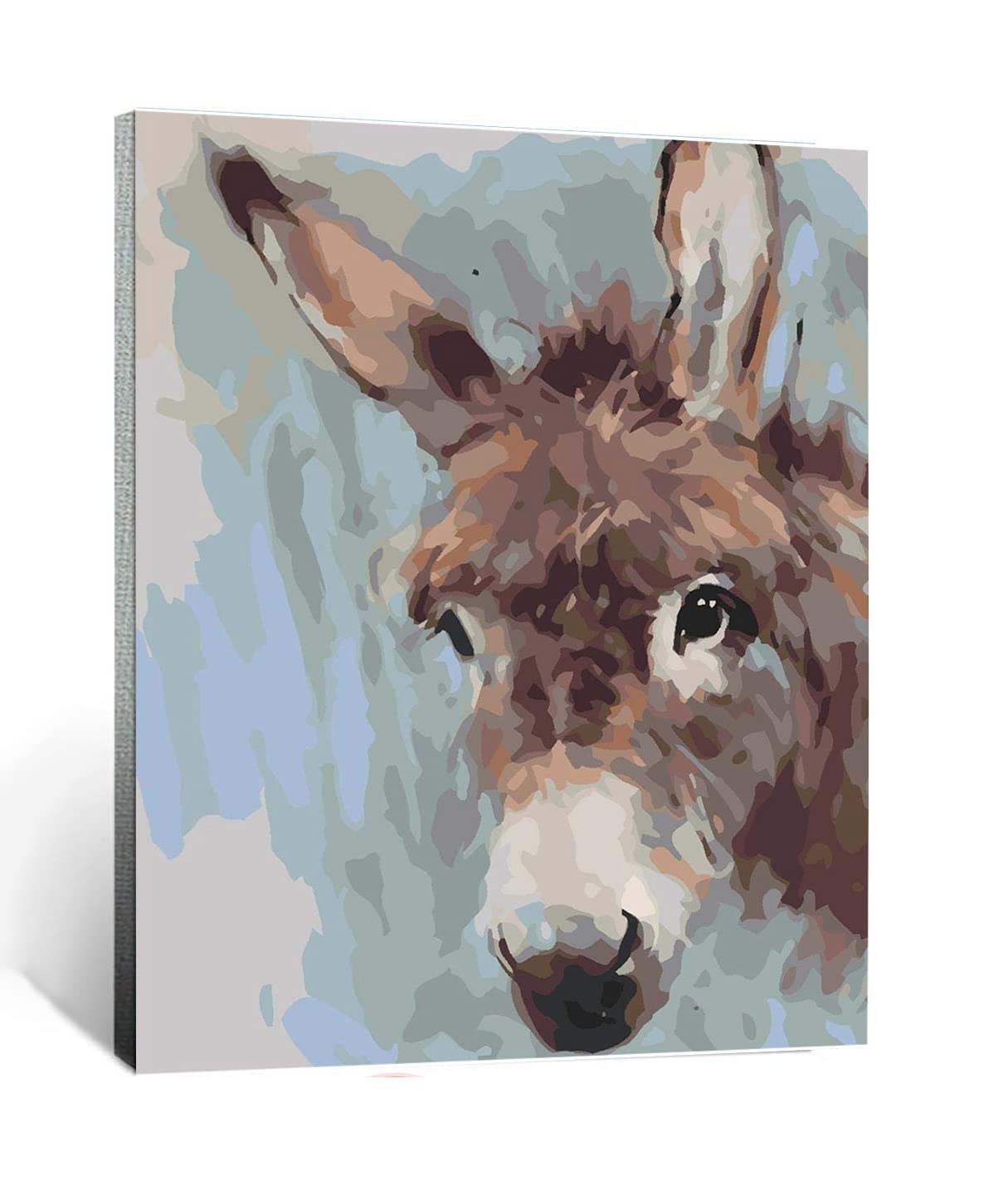 Malen Nach Zahlen Pferd – Schwarz-Weiß, 40,6 X 50,8 Cm, DIY Kit Für Erwachsene & Kinder