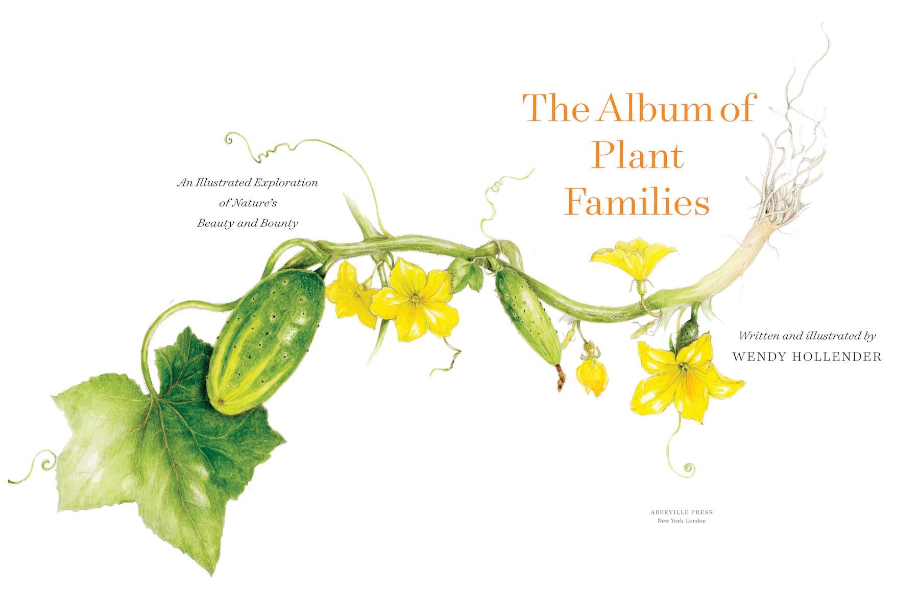 The Album of Plant Families: An Illustrated Exploration of Nature's Beauty and Bounty